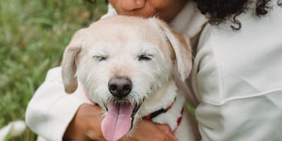 Love Your Pet Day 20 de Fevereiro de 2026