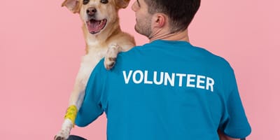 National Adopt a Shelter Pet Day 30. April 2026