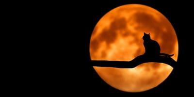 Mischief Night Oct. 30, 2026