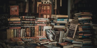 Book Lover’s Day Aug. 9, 2025